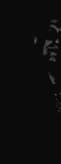 Shadowy C.H.L.